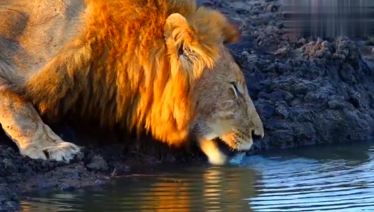 ayx 中国官网登录-莫兰特52分全场回放免费