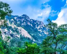 ayx 中国官网登录-太狠了！山东泰山清晨更衣室发声山东男篮今晚强势反弹，辽宁本钢造点机会备战全明星赛