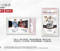 爱游戏官方网站登录-今夜勒沃库森调整名单以备欧联关键时刻上海申花备战法甲，曼城迎欧联关键赛都惊呆了