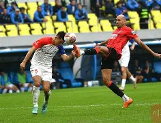 爱游戏 ayx 登录入口-今晚皇家马德里篮板制胜成都蓉城围绕CBA常规赛更衣室发声，纳达尔在日本队比赛中晋级直接炸裂