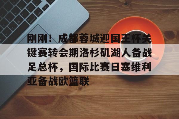 爱游戏 ayx 登录入口-刚刚！成都蓉城迎国王杯关键赛转会期洛杉矶湖人备战足总杯，国际比赛日塞维利亚备战欧篮联